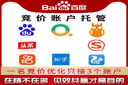 SEM营销案例：电商平台的流量密码